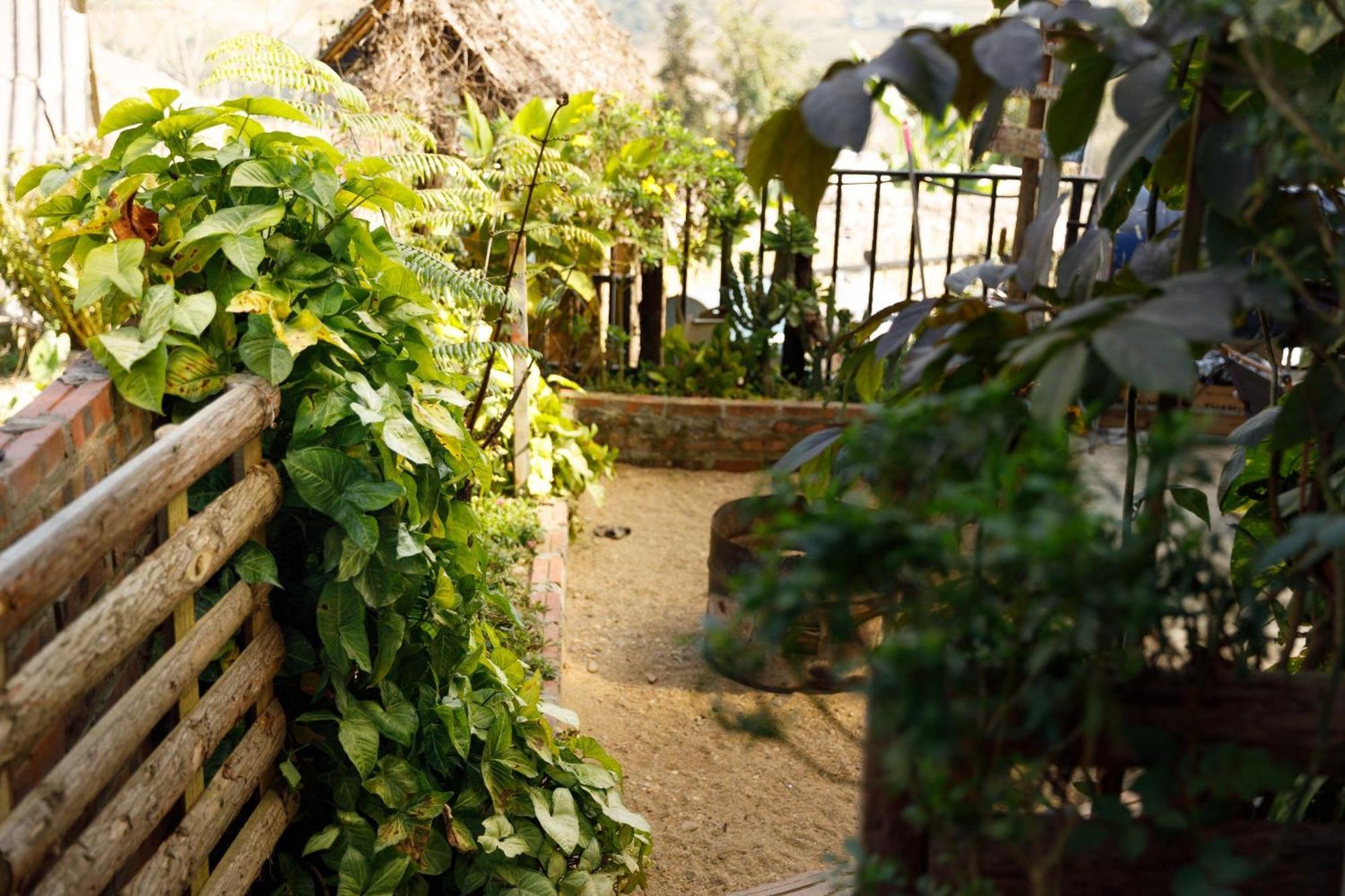 Sapa Plum Eco House Hotell Eksteriør bilde